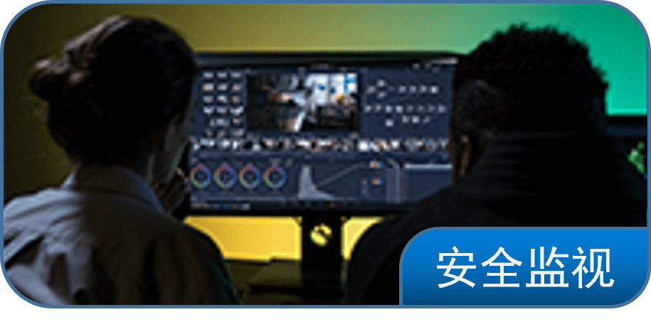 安全监视